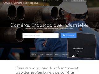 Inspection par caméra endoscope industriel souple