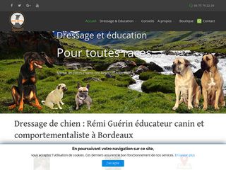 Rémi Guérin éducateur canin à Bordeaux