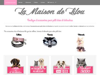 Articles tendance et mode pour votre petit chien