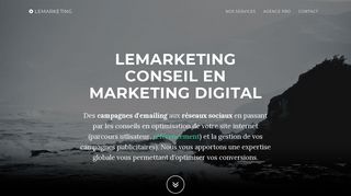 Lemarketing spécialiste du marketing digital