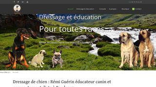 Rémi Guérin éducateur canin à Bordeaux