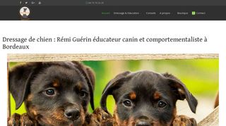 Rémi Guérin éducateur canin à Bordeaux
