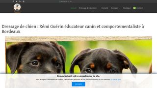 Rémi Guérin éducateur canin à Bordeaux