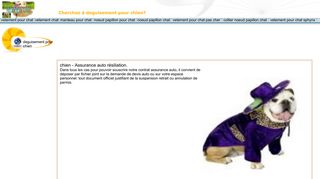 La Boutique qui Déguise et Habille Chien et Chat