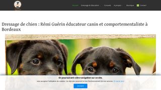 Rémi Guérin éducateur canin à Bordeaux