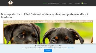 Rémi Guérin éducateur canin à Bordeaux