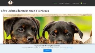 Rémi Guérin éducateur canin à Bordeaux