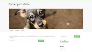 Articles tendance et mode pour votre petit chien