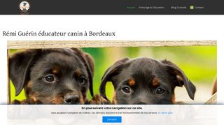 Rémi Guérin éducateur canin à Bordeaux