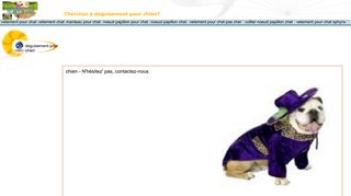 La Boutique qui Déguise et Habille Chien et Chat