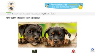Rémi Guérin éducateur canin à Bordeaux