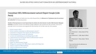 Un professionnel doué en référencement naturel