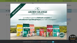 Des colliers anti-puce de qualité pour chien