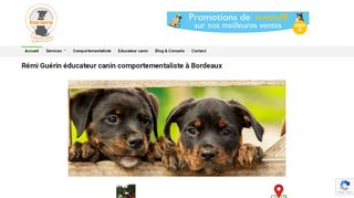 Rémi Guérin éducateur canin à Bordeaux
