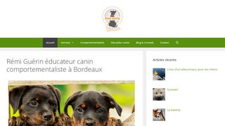 Rémi Guérin éducateur canin à Bordeaux
