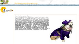 La Boutique qui Déguise et Habille Chien et Chat