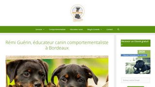 Rémi Guérin éducateur canin à Bordeaux